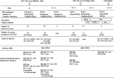 Sho-Based Kampo Medicine Combined With Assisted Reproductive Technology Is Effective for Refractory Infertility and Early Recurrent Miscarriage: A Case Report